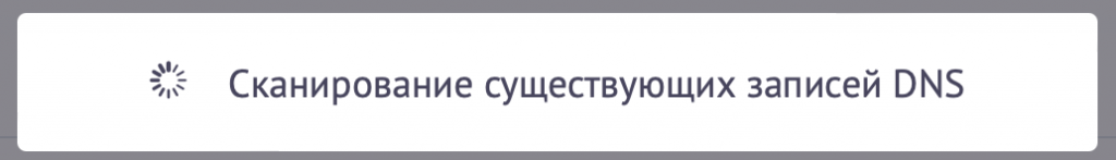 Повідомлення про сканування наявних DNS-записів у панелі керування.